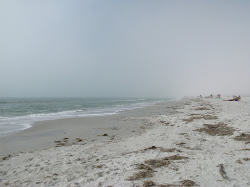 It was a foggy morning on the beach. Day 15 of the Law of Attraction. Leave 1 Dollar.